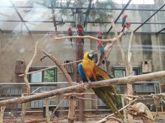 -大连森林动物园