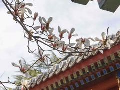 -北京颐和宾馆