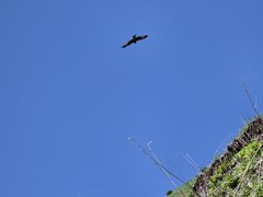 -新疆那拉提国家旅游度假区