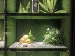 -慢丽江·云南野生菌土鸡锅(西山店)