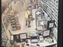 盛京一禾-盛京一禾