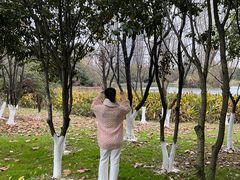 -艾溪湖湿地公园