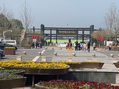 -杭州湾海上花田景区