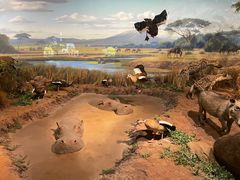 -陕西自然博物馆