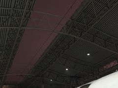 月台-合肥火车站(地铁站)