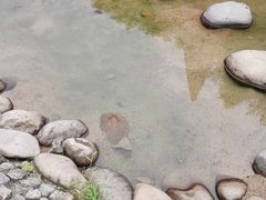 -遂昌金矿国家矿山公园