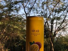-西湖风景区十里琅珰-五云山