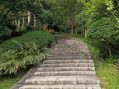 -火炉山森林公园