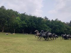 -广州雕塑公园