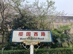 -武汉大学-樱园