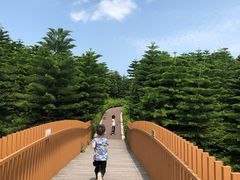 -迪茵湖田家舍生态农场