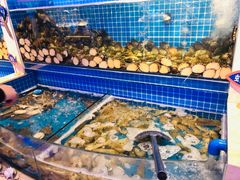 水产区-乔哥铭洋海鲜自助(皇城恒隆广场店)