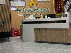-半岛宠物医院24小时·内窥镜·牙科·碎石中心(府城大道店)