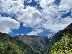 -四姑娘山阿巴郎·藏式花园餐厅