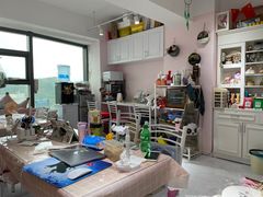 -奶油猫DIY·手工·团建·美陈搭建(宝山万达店)