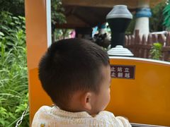 -杭州野生动物世界