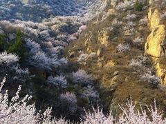 -北京凤凰岭