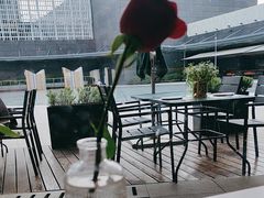 -Terra Rossa(陆家嘴中心店)