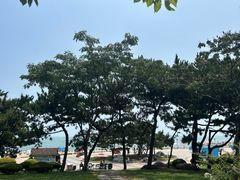 -日照灯塔风景区