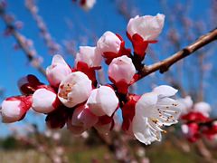 -九鼎铁刹山风景区