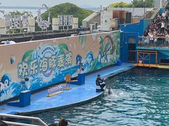 -秦皇岛新澳海底世界
