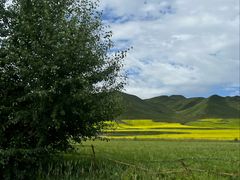 -扁都口生态休闲旅游区