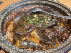 -海派美食·家宴海鲜青岛菜·石锅鲽鱼头(东方城店)