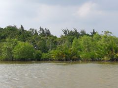 -东寨港红树林旅游区