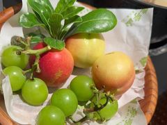 -季季山·云南野生菌火锅(上海首店)
