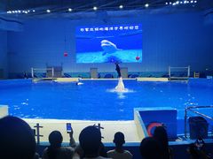 -石家庄极地海洋世界