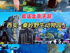 -西安秦岭野生动物园