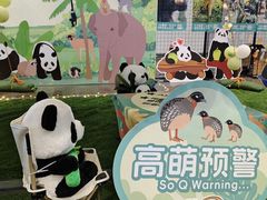 -海南热带野生动植物园