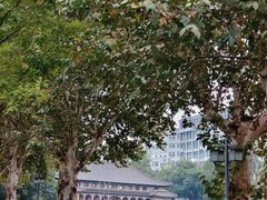-湖北中医药大学(昙华林校区)