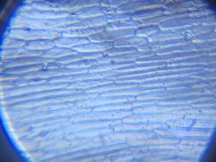 -斯坦星球AI编程·机器人科创·科学实验·信奥·思维·STEM·积木拼搭·竞赛考级(浦东联洋广场大拇指龙阳御桥中心)