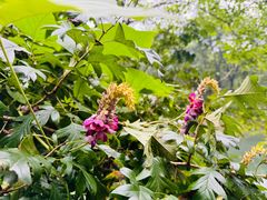 -大连冰峪旅游度假区