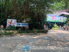 -广州长隆飞鸟乐园