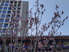 -西海子公园