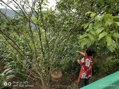 -金堂县云顶石城风景区