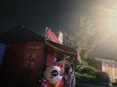 -泡桐树街