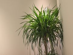 -食悦江南·淮扬菜·烤鸭(亚运村·惠新店)