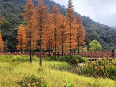 -广州市石门国家森林公园