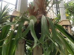 -华南国家植物园-售票处