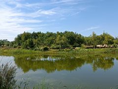 -东郊湿地公园
