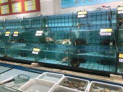 -海岛渔村大酒店(云霄路店)