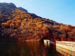 -龙道沟景区