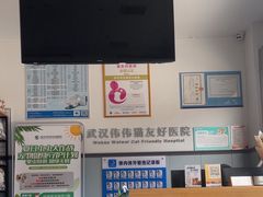 -伟伟宠物医院·瑞派猫友好医院·猫科(光谷店)