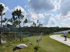 -盐城丹顶鹤湿地生态旅游区