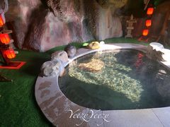 -东方华地城湿地温泉度假区