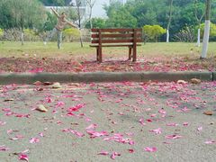 -华南师范大学(广州大学城校区)