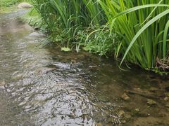-白水寺森林公园